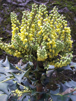 云山踏青_怡和医药|江西怡和医药有限公司