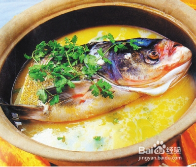 冬季养生减肥食谱大全_怡和医药|江西怡和医药有限公司
